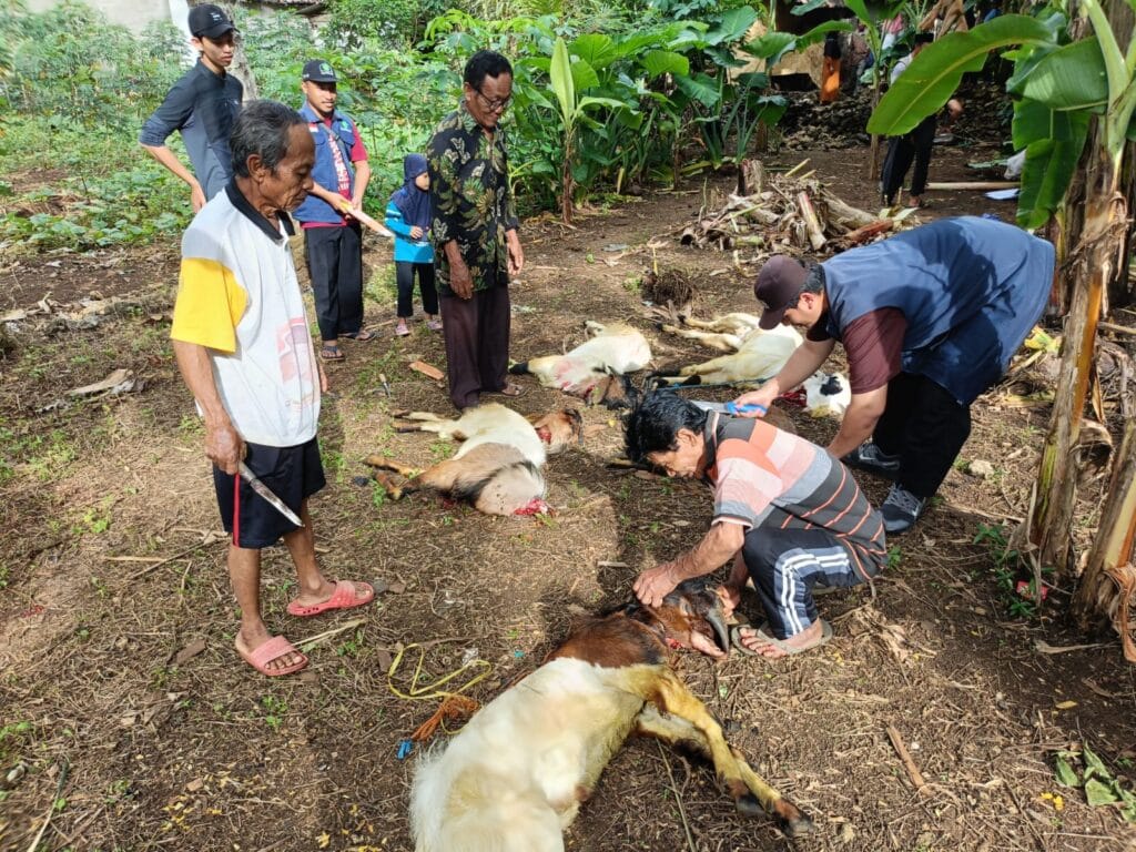 2025 06 Tebar Kurban Baksos 16