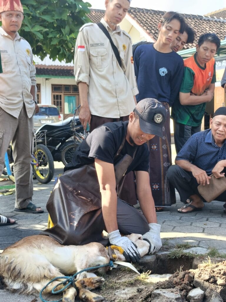 2026 Pelatihan Juru Sembelih Juleha 16