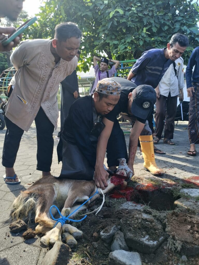 2026 Pelatihan Juru Sembelih Juleha 17