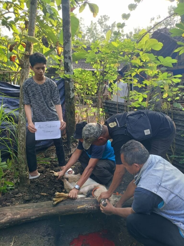 2605 Tebar Kurban Relawan Masjid 1447h 010