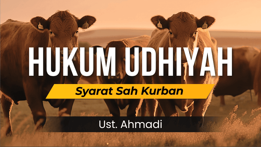 Hukum Udhiyah Dan Syarat Sah Kurban