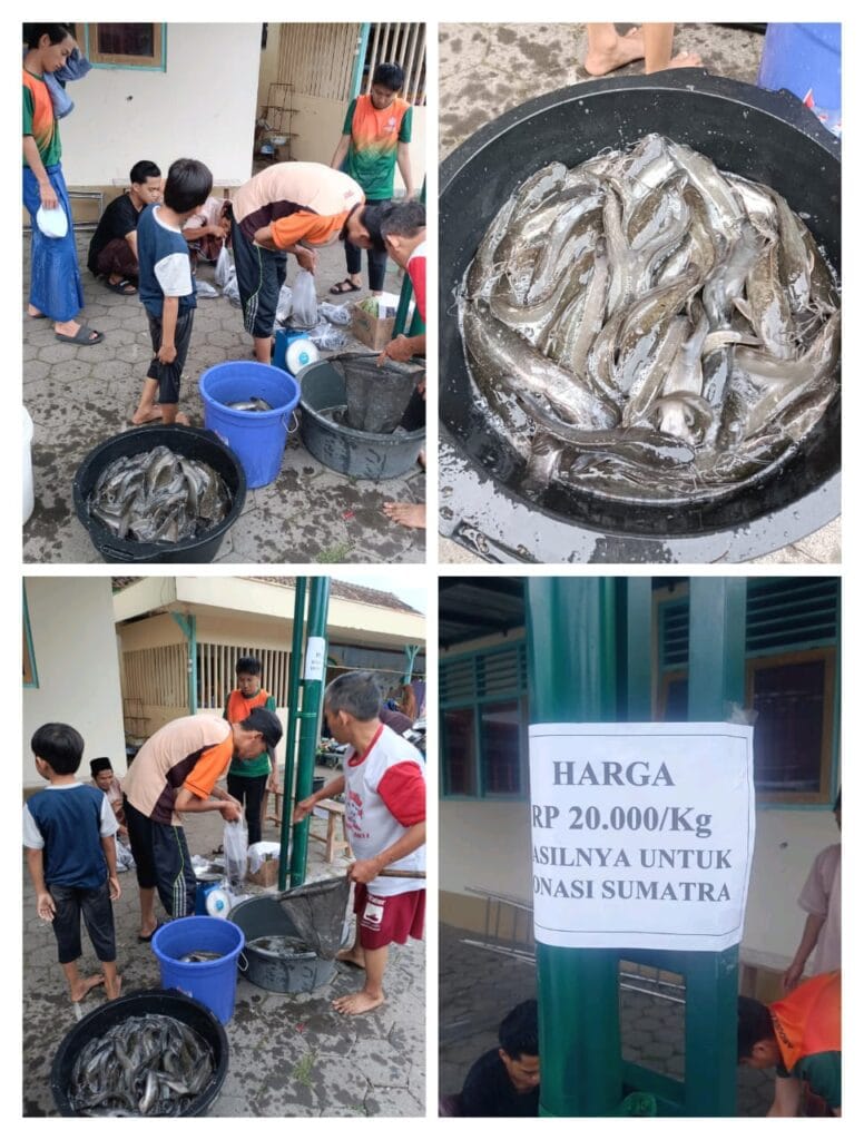 Santri Jual Lele Untuk Bantu Sumatra