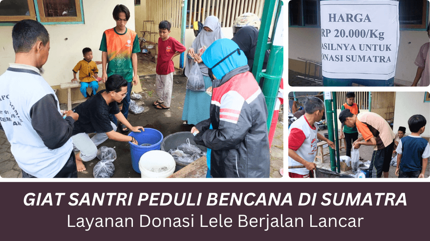 Santri Jual Lele Untuk Bantu Sumatra Feat